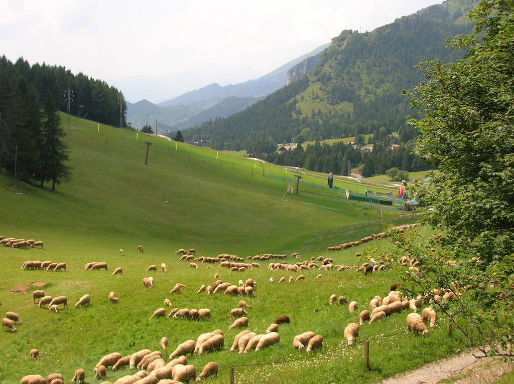 Spampatti Castione della Presolana
